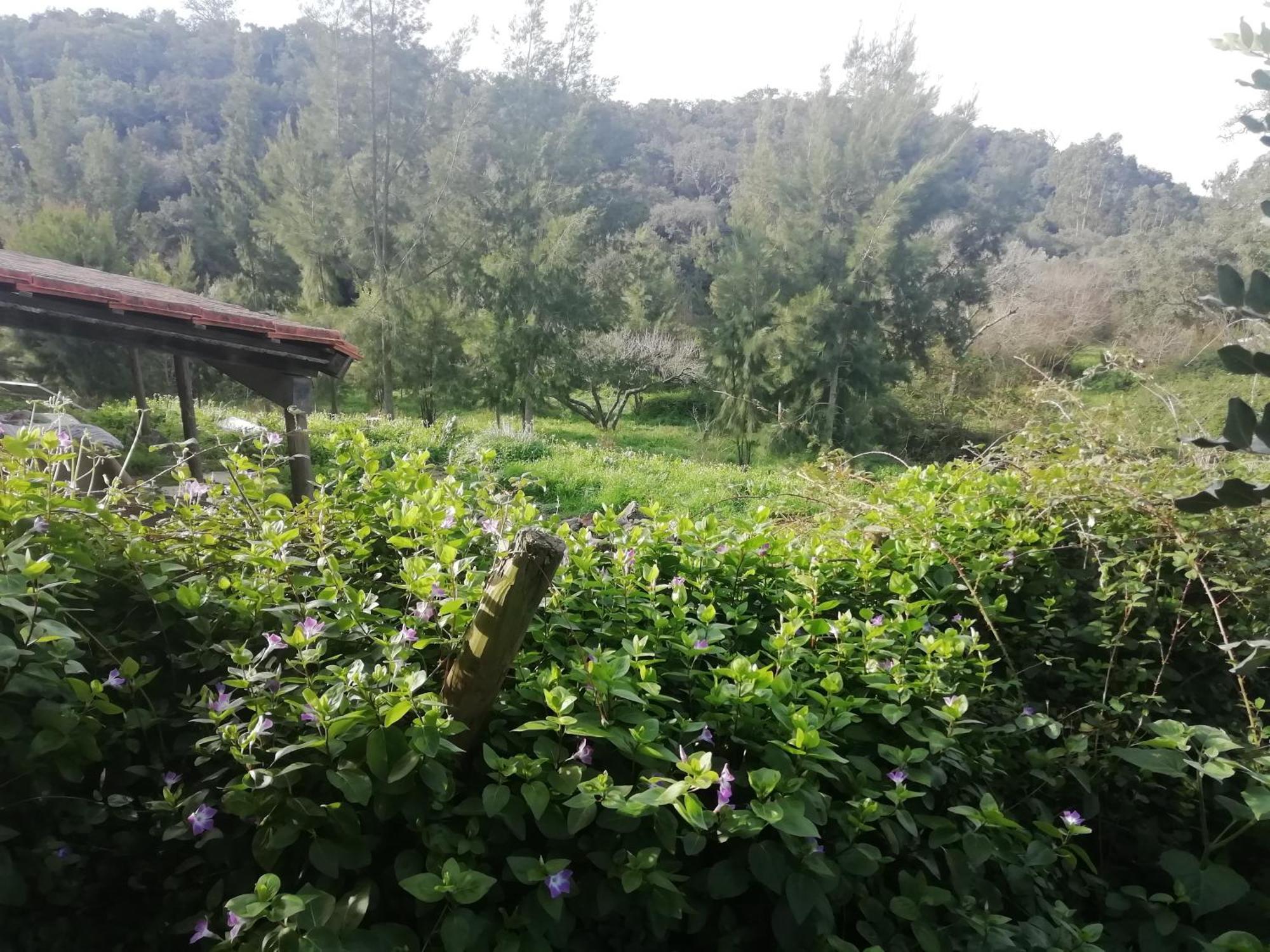 Tree House Da Lage * Sao Luis