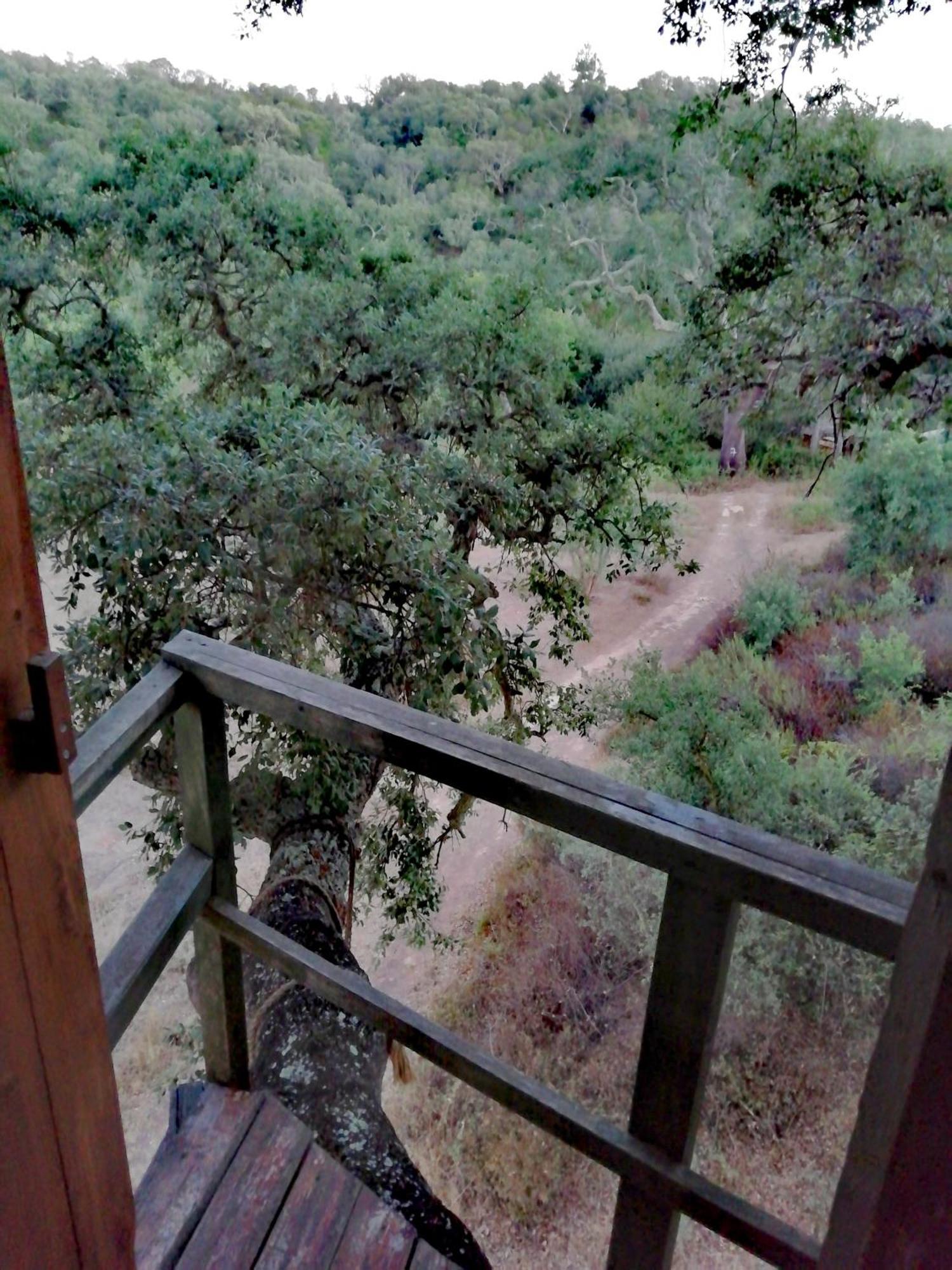 Tree House Da Lage *