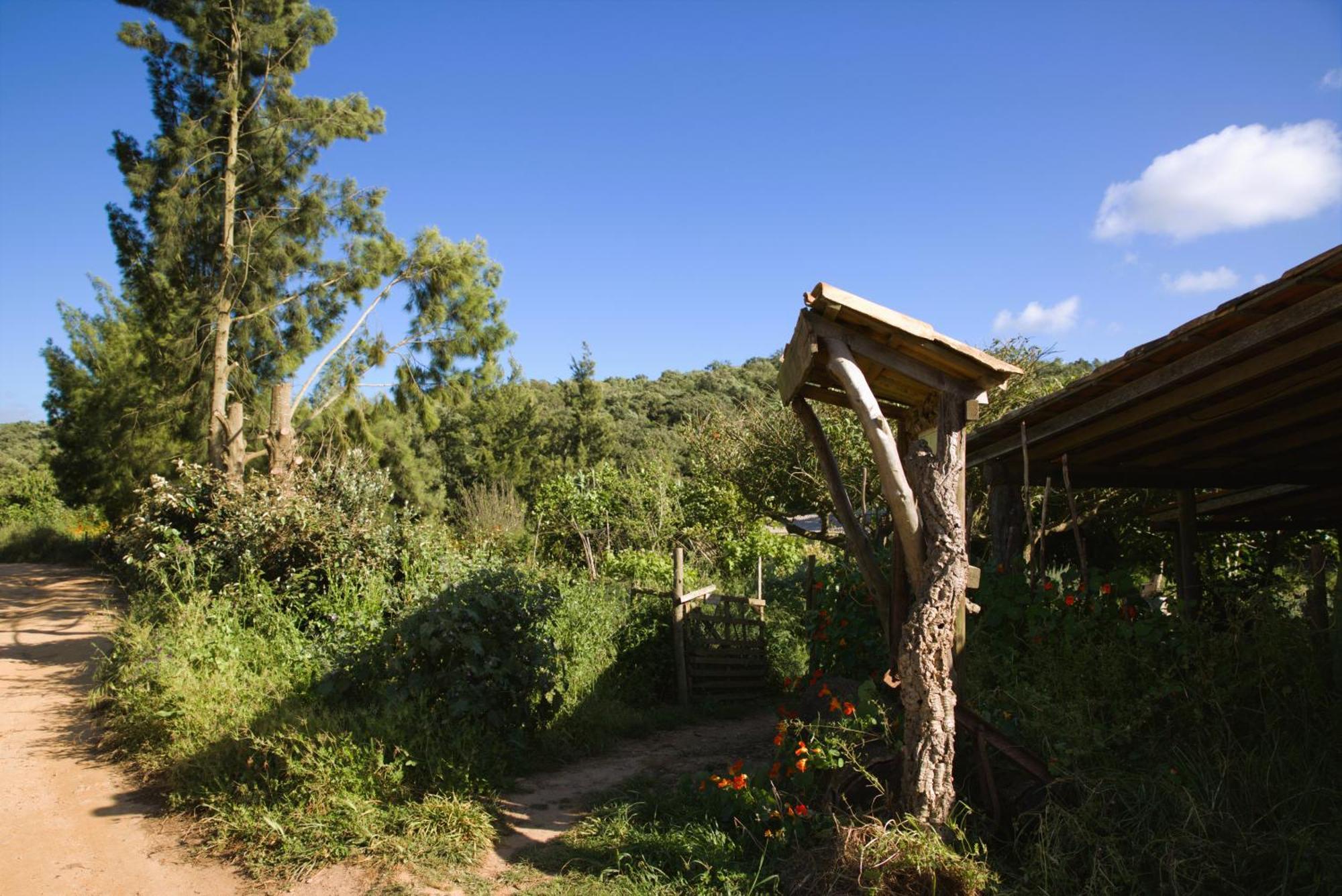 Tree House Da Lage *
