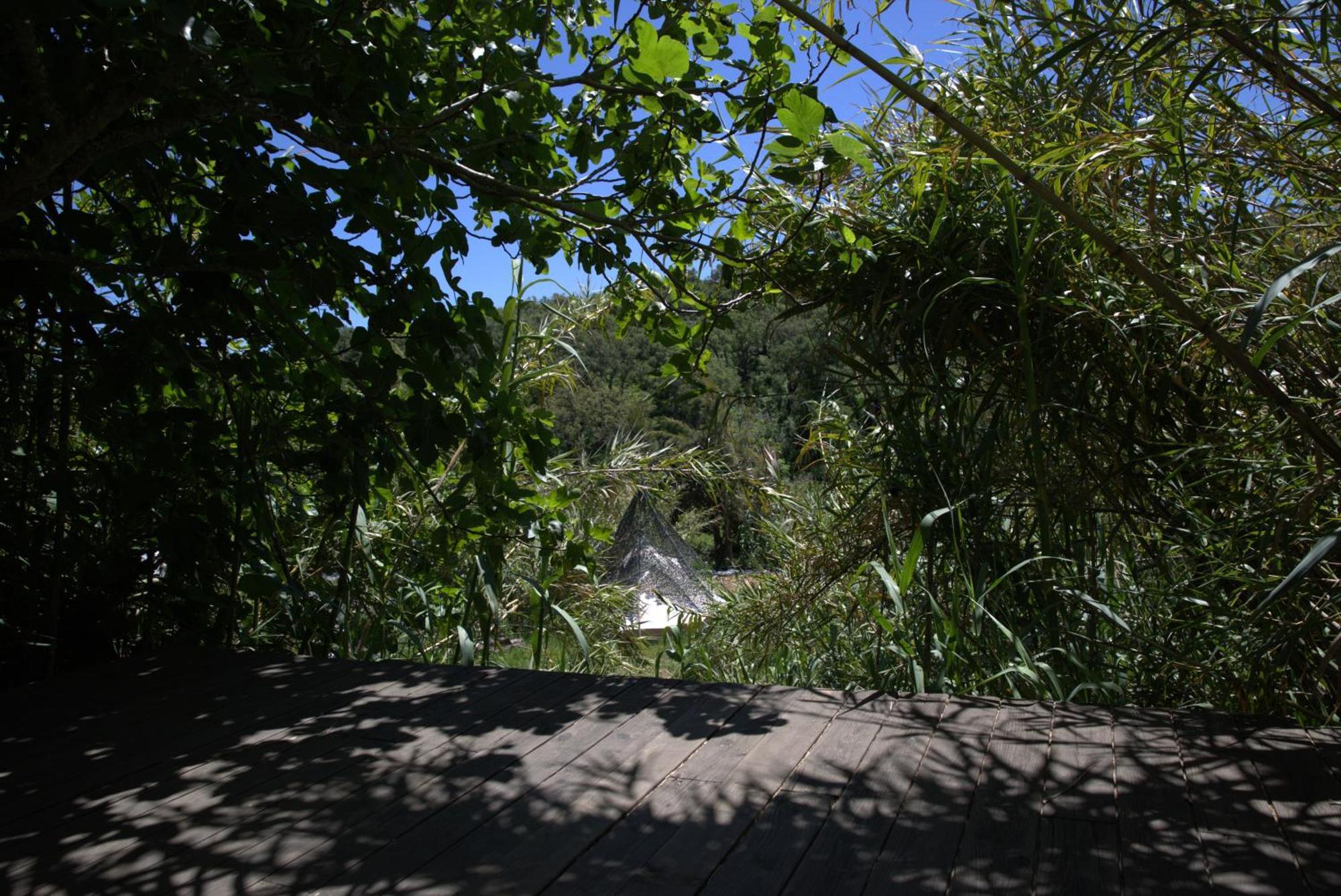 Tree House Da Lage Campsite