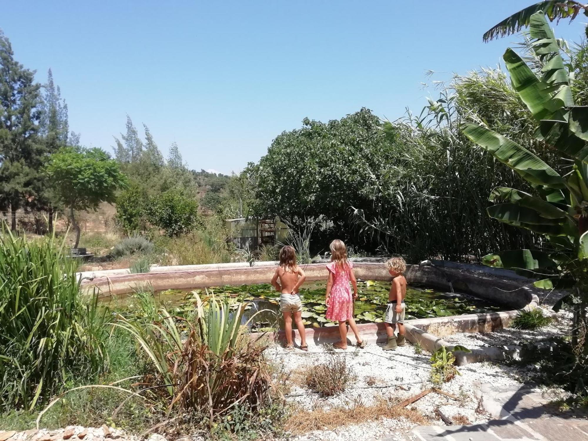 Tree House Da Lage * Sao Luis
