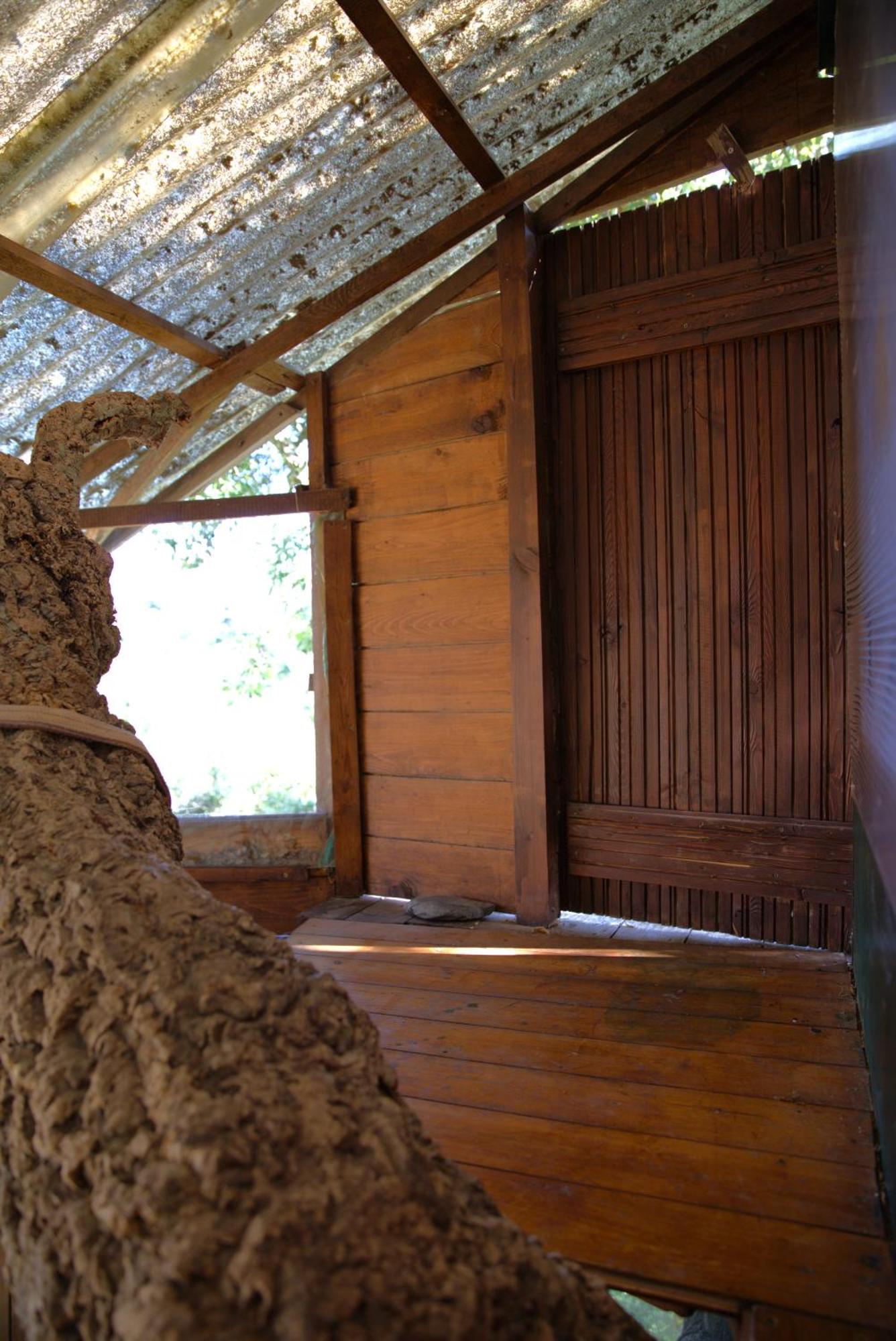 Tree House Da Lage Sao Luis