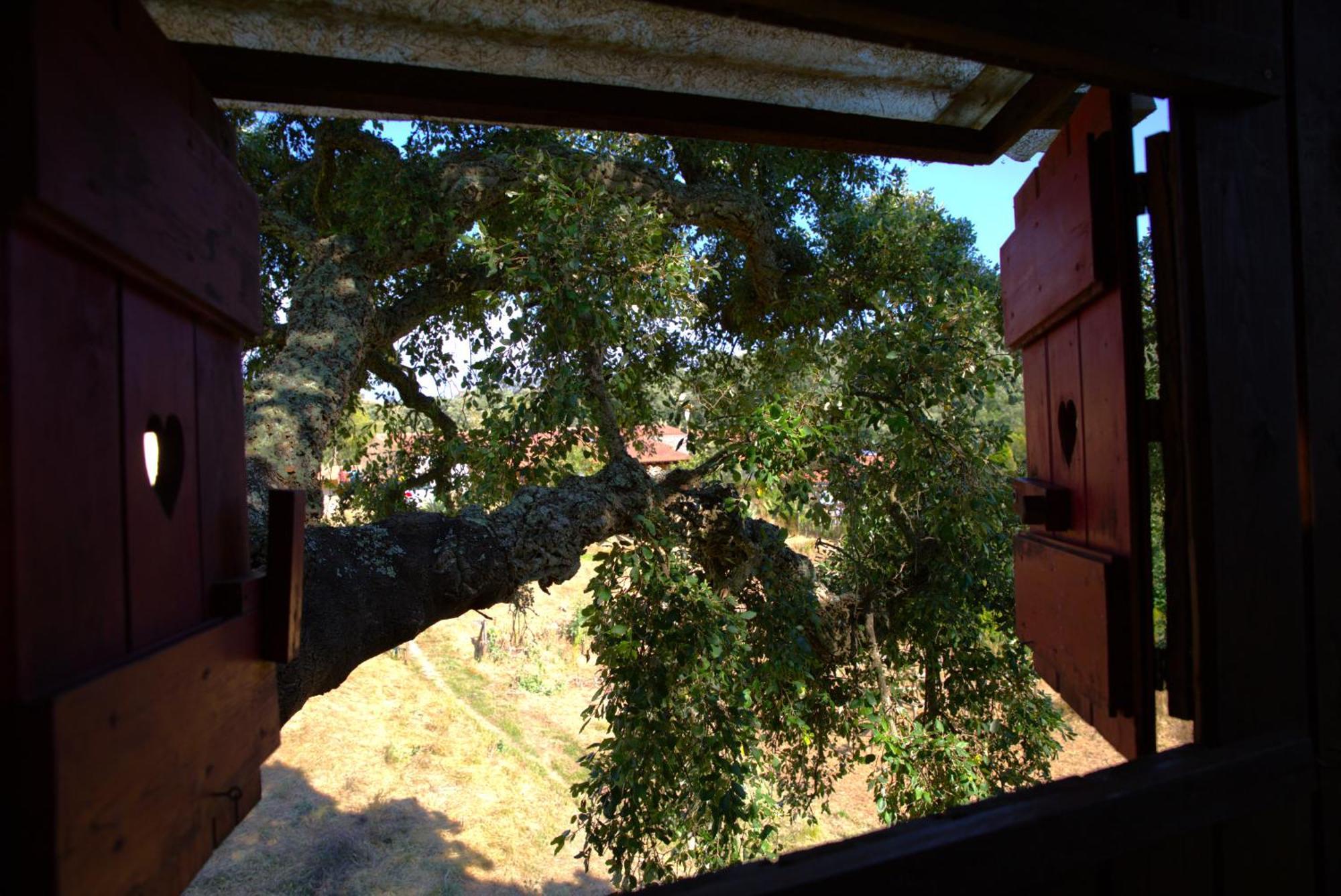 Tree House Da Lage *