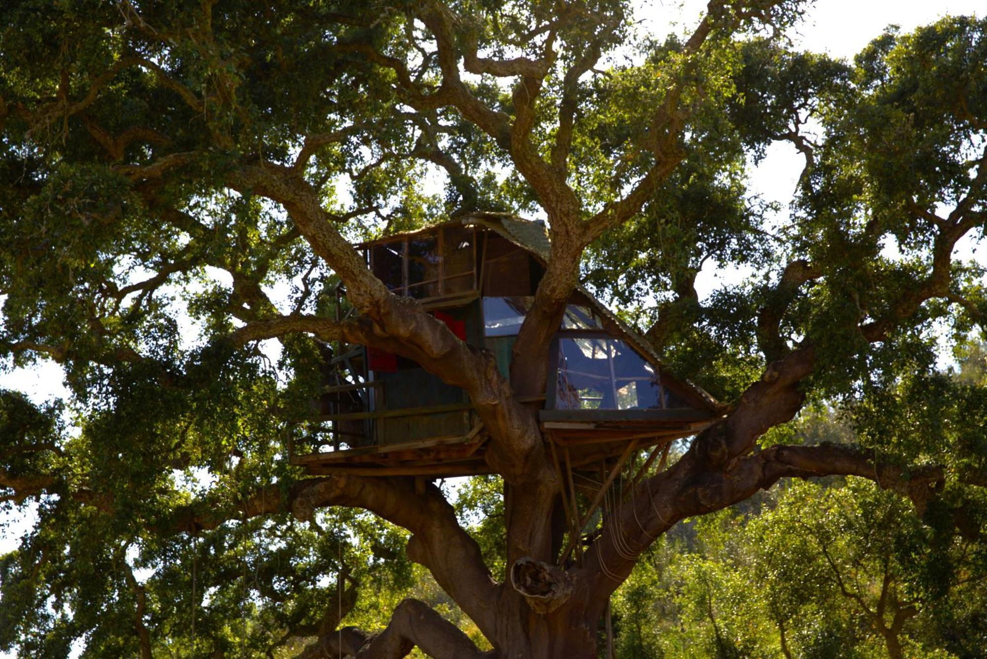 Campsite Tree House Da Lage Sao Luis