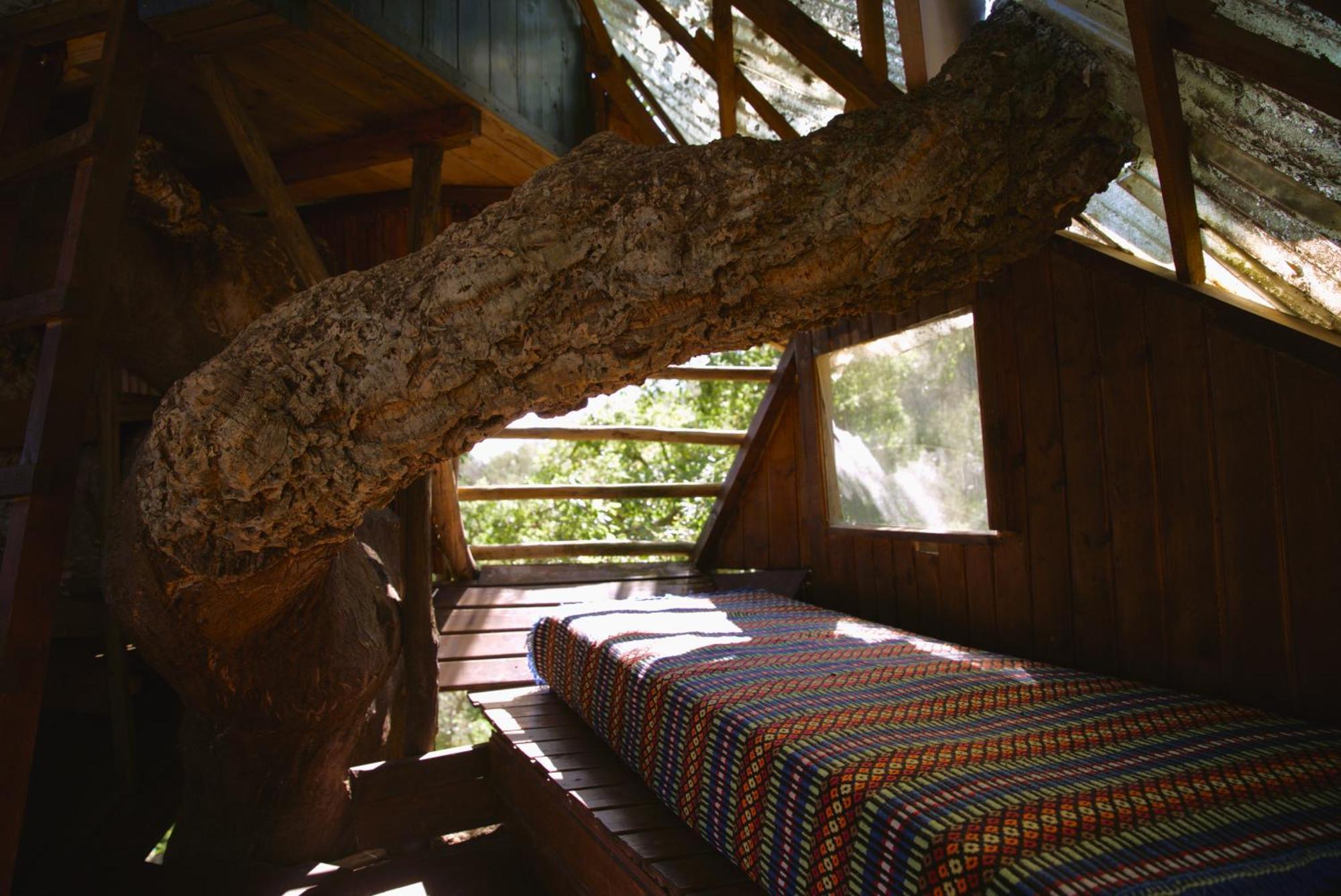 Campsite Tree House Da Lage