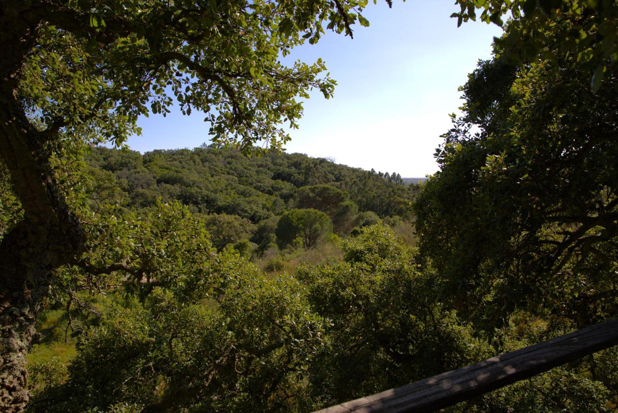 Tree House Da Lage Campsite Sao Luis