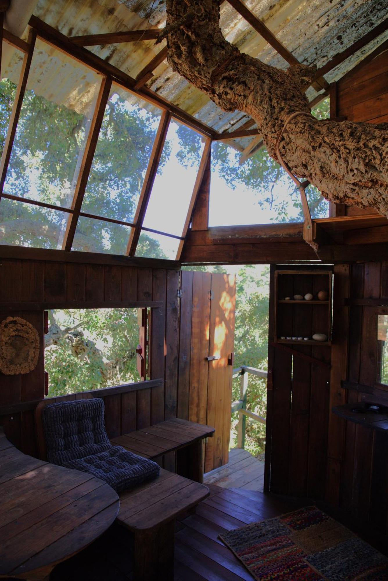 Campsite Tree House Da Lage Sao Luis